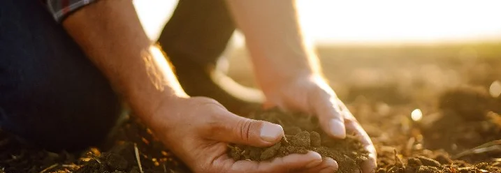Hände halten Erde in den Händen
